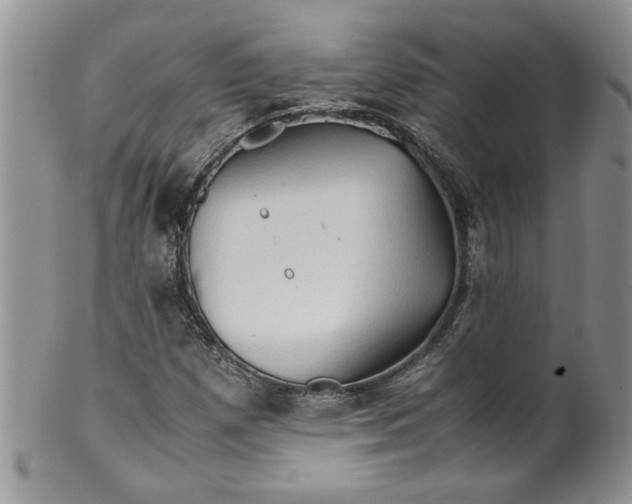 X0000099491257200806051051