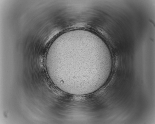 X0000099491258200806051051