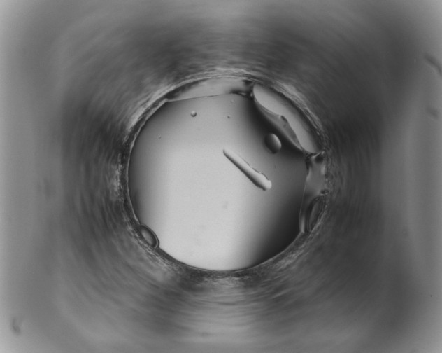 X0000099491260200806051051