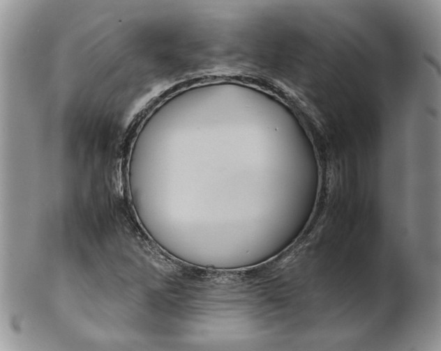 X0000099491262200806051050