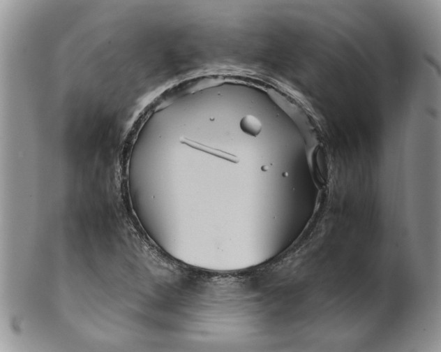 X0000099491264200806051050