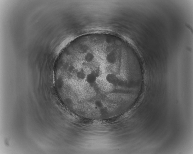 X0000099491267200806051050