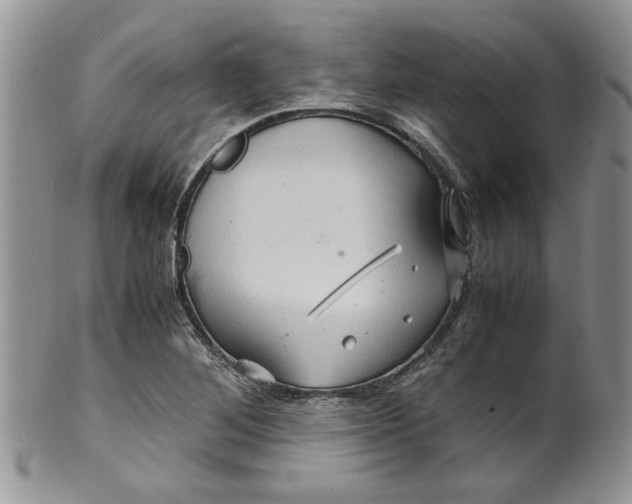 X0000099491268200806051050