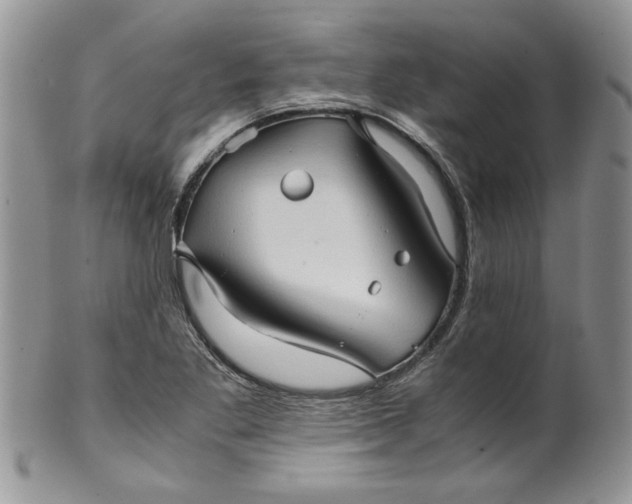 X0000099491269200806051050