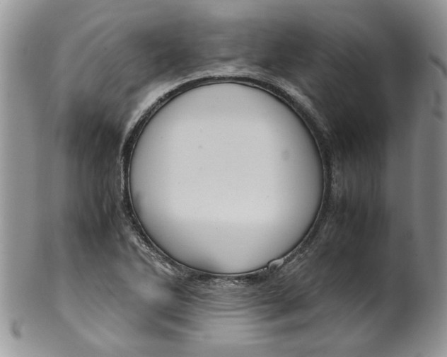 X0000099491270200806051050