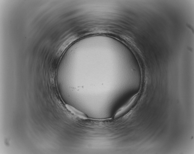 X0000099491273200806051050