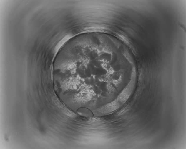 X0000099491275200806051050