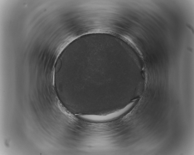 X0000099491276200806051050