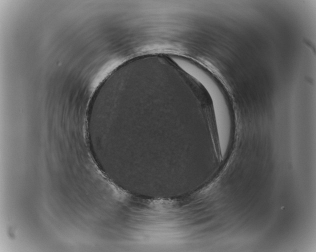 X0000099491277200806051050