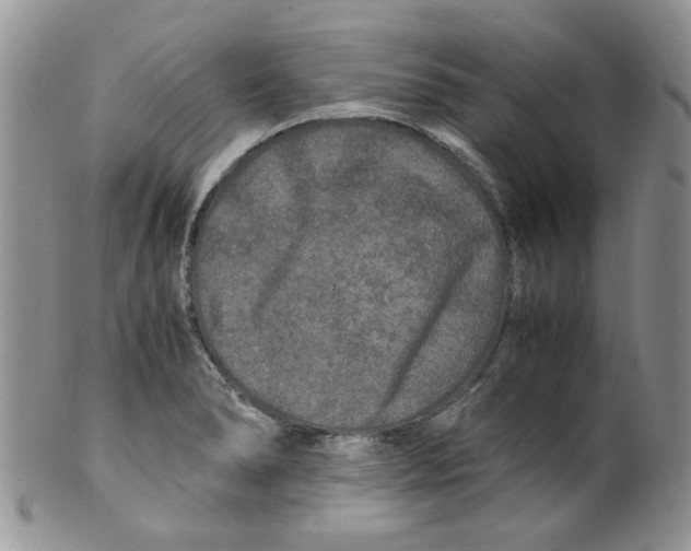 X0000099491278200806051050