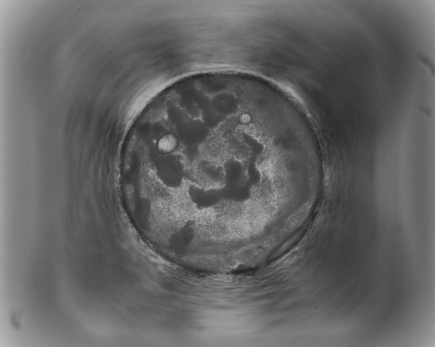 X0000099491279200806051050