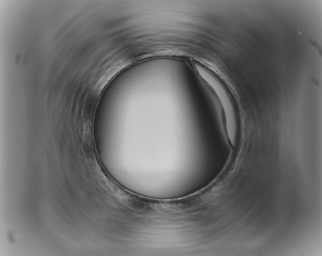 X0000099491281200806051050