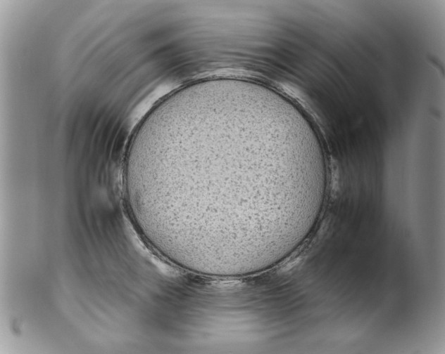 X0000099491282200806051050