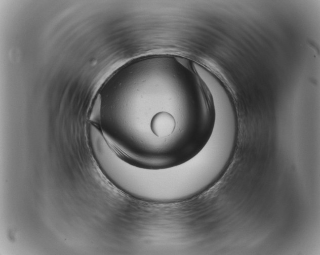 X0000099491284200806051050