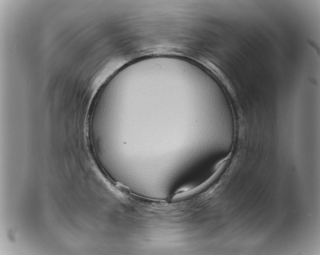 X0000099491285200806051050