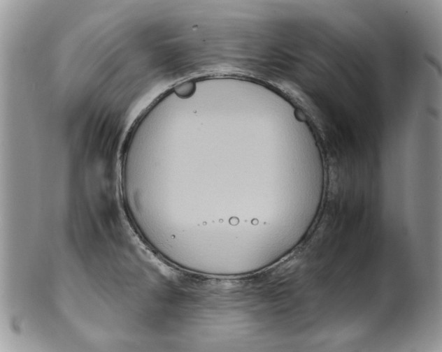 X0000099491286200806051050