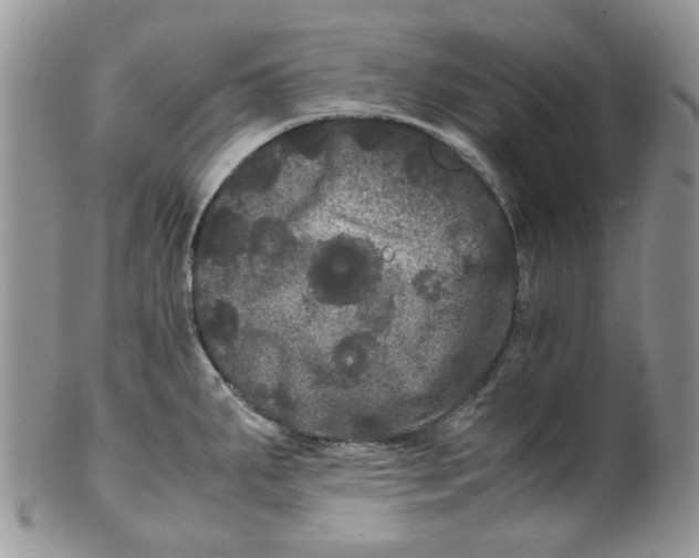 X0000099491287200806051050