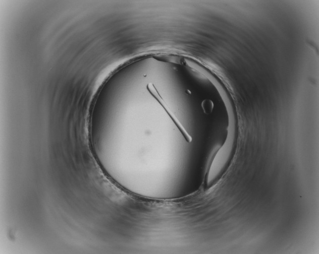 X0000099491288200806051050