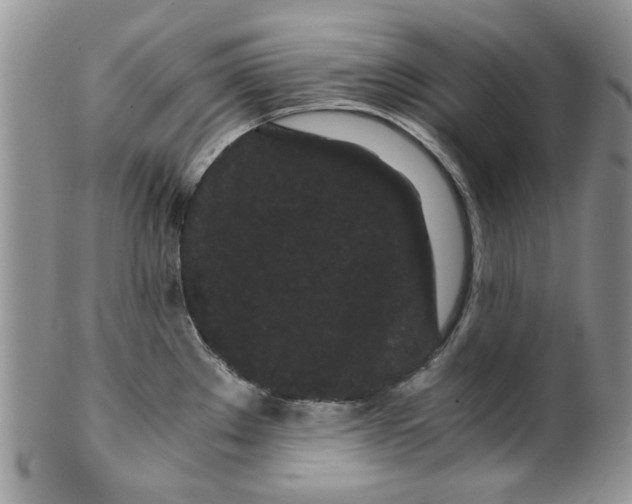 X0000099491289200806051050