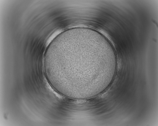 X0000099491290200806051050