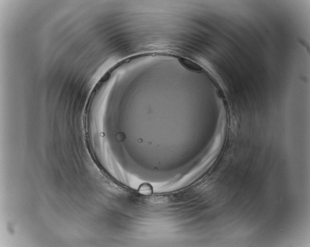 X0000099491291200806051050