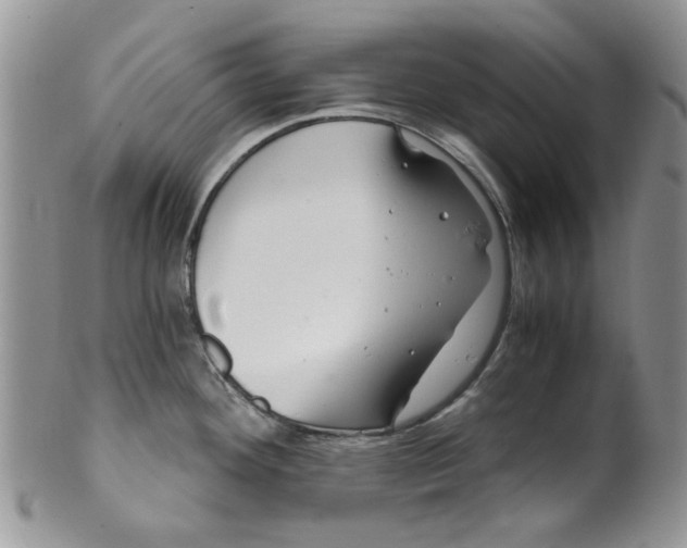 X0000099491292200806051050