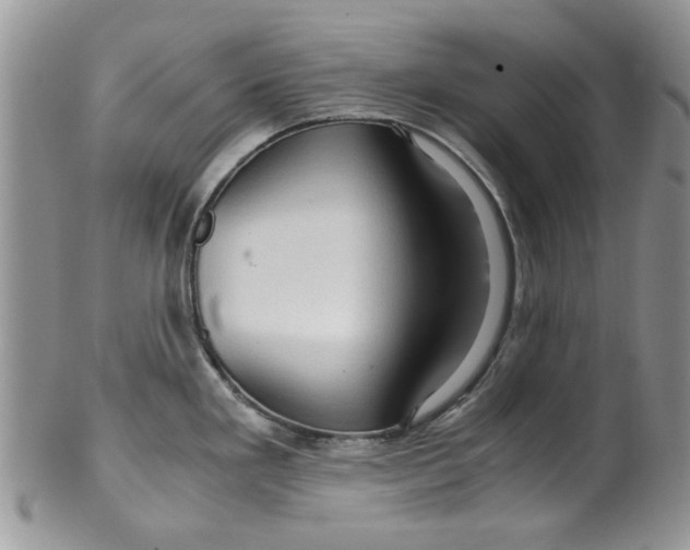 X0000099491293200806051050