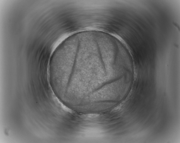 X0000099491294200806051050