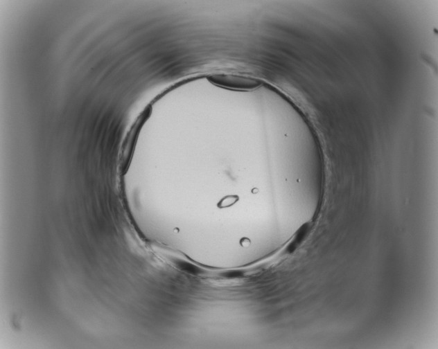 X0000099491296200806051050