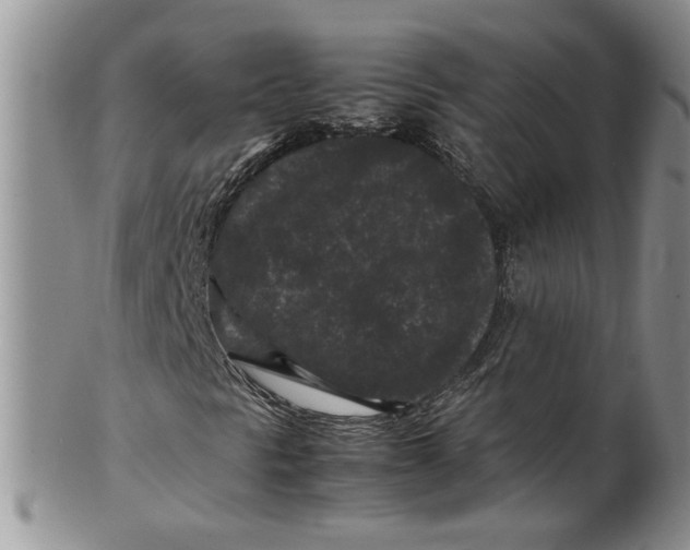 X0000099491297200806051049