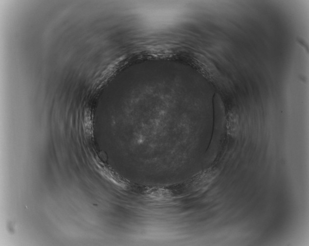 X0000099491298200806051049