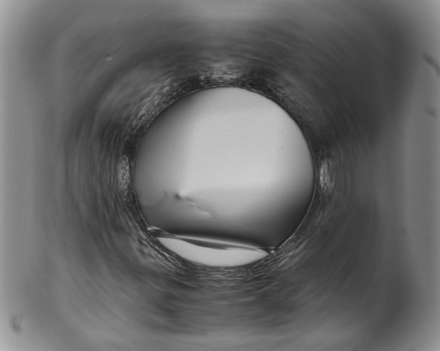 X0000099491299200806051049