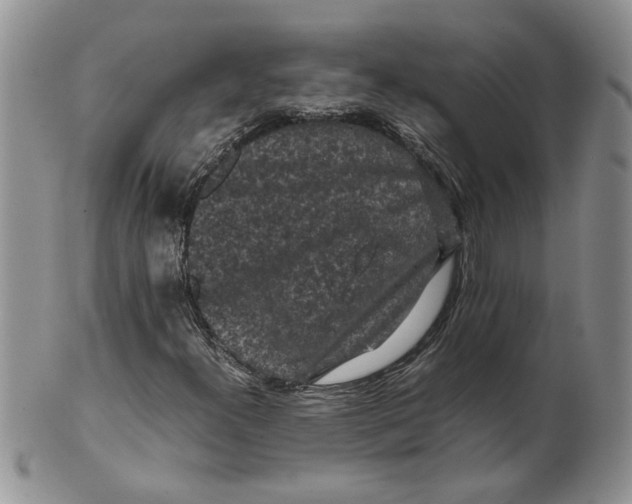 X0000099491300200806051049