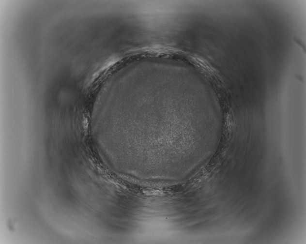 X0000099491302200806051049