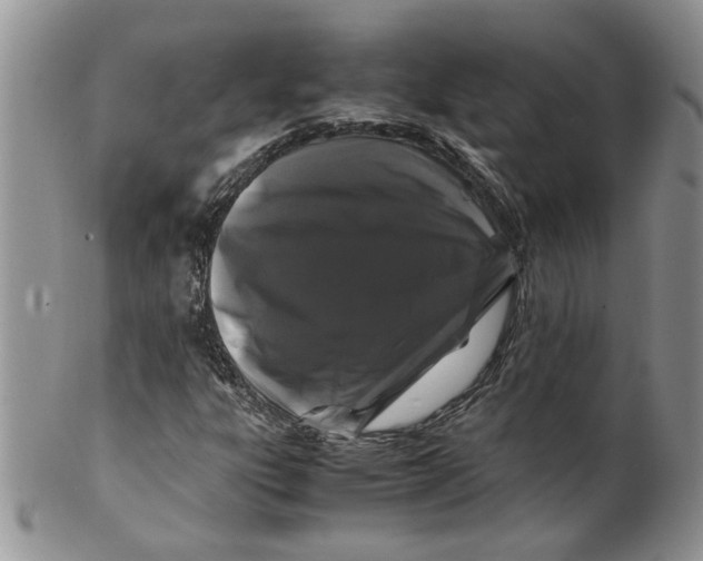 X0000099491303200806051049