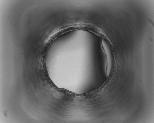 X0000099491304200806051049