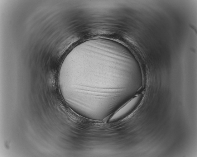 X0000099491305200806051049