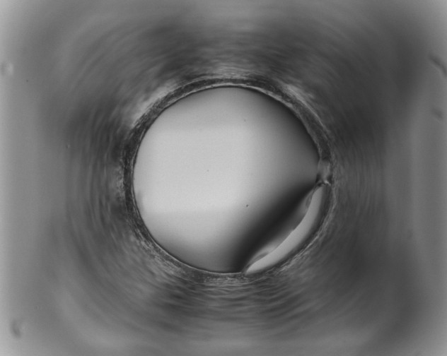 X0000099491307200806051049