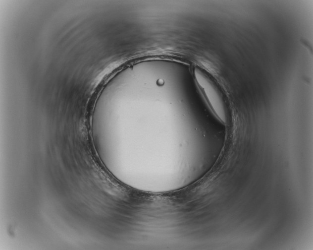 X0000099491308200806051049