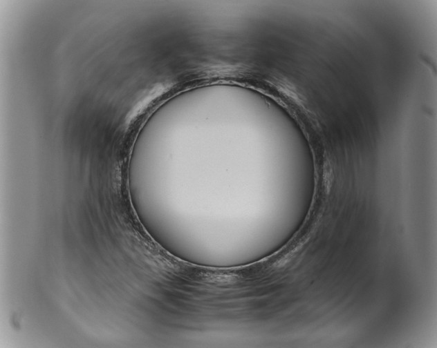 X0000099491309200806051049