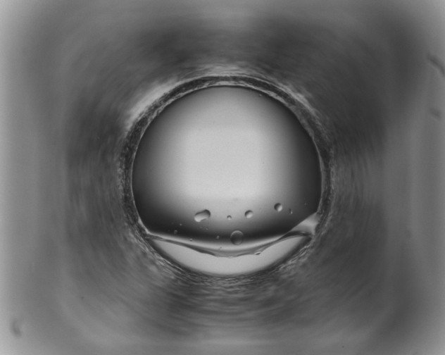 X0000099491311200806051049