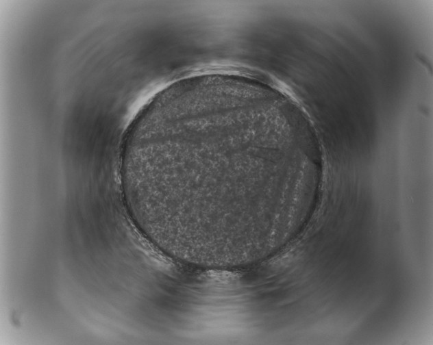 X0000099491312200806051049