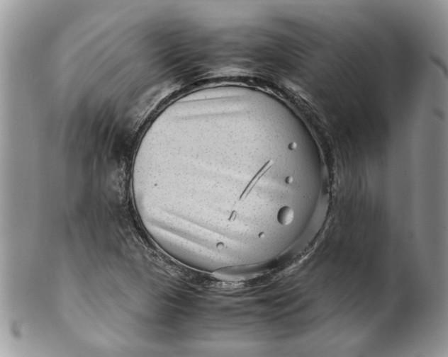 X0000099491313200806051049