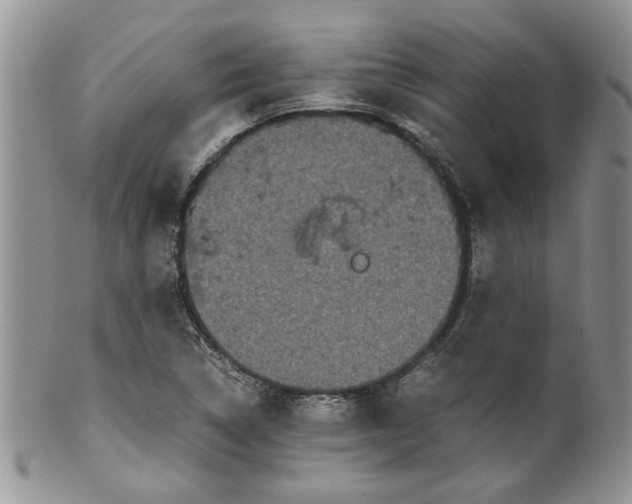 X0000099491314200806051049