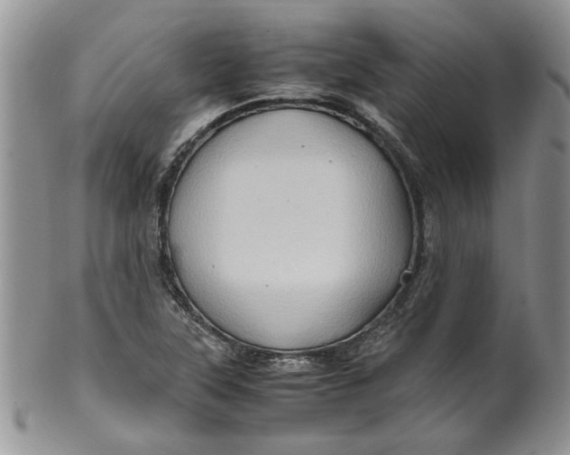 X0000099491315200806051049