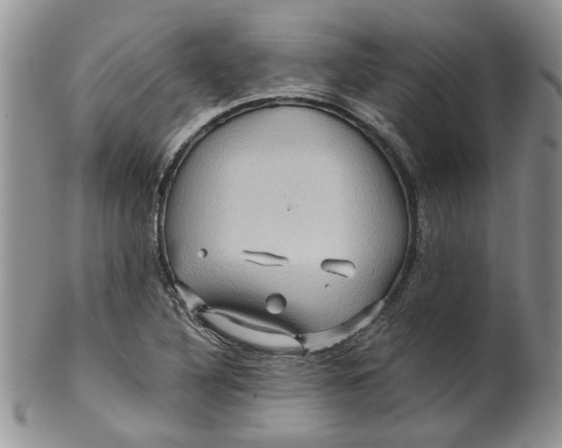 X0000099491316200806051049