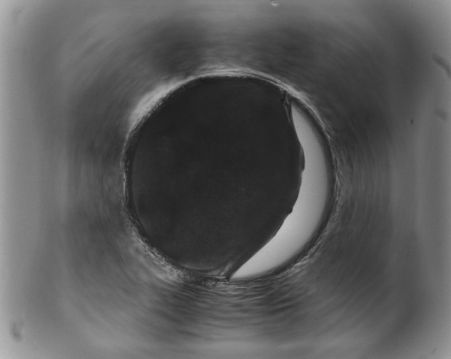 X0000099491319200806051049