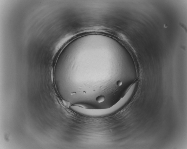 X0000099491320200806051049