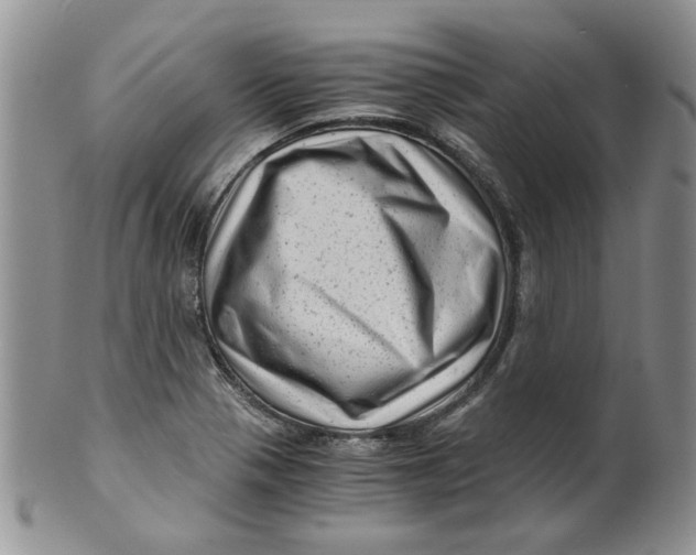 X0000099491321200806051050