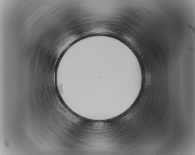 X0000099491322200806051050